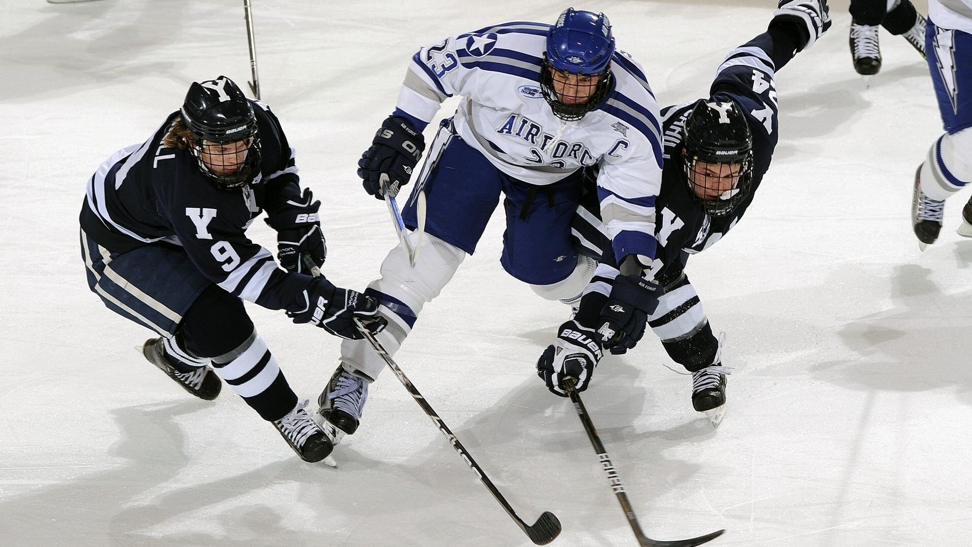 高校运动训练计划动态调整研究,运动训练调研报告