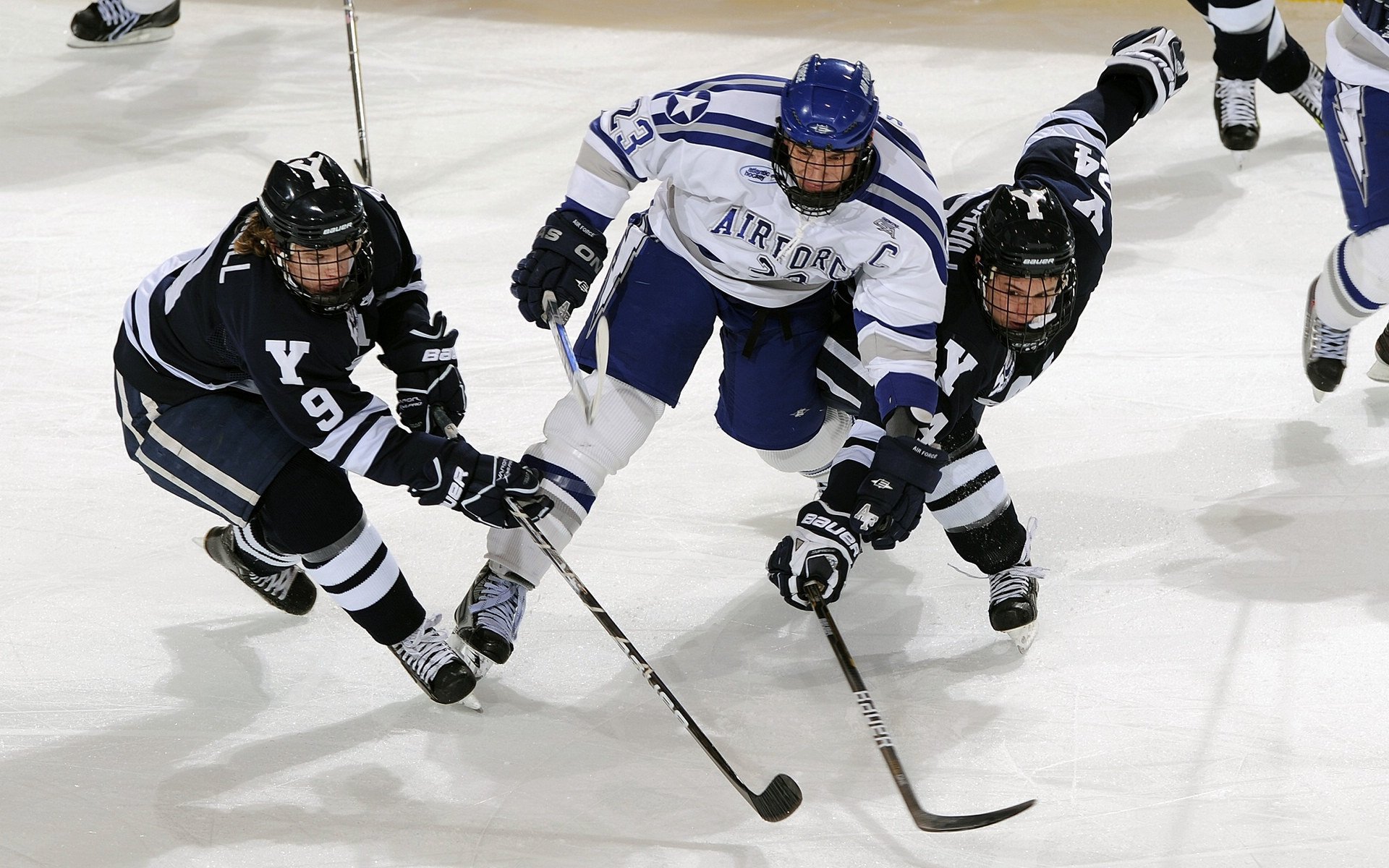开云体育官网app-体育新闻中心上线体育话题热度追踪与趋势洞察平台，体育新闻!